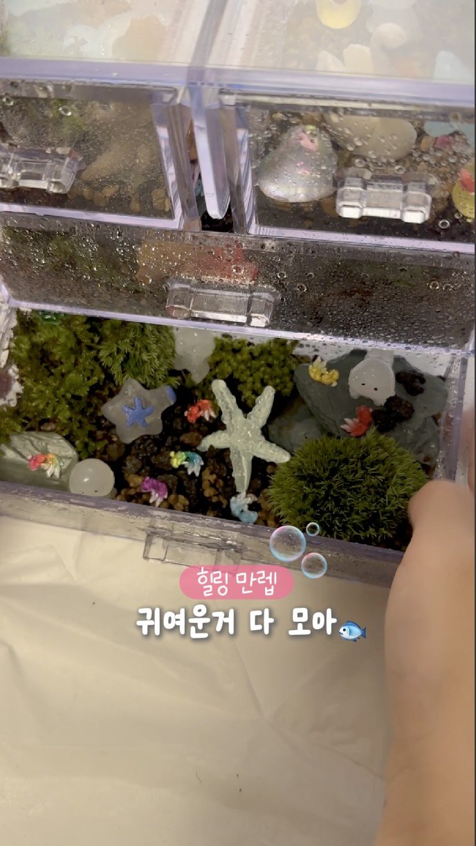 jooa_log 게시물 이미지: 짜증 팍팍 내고 있을때
손으로 만들기 시켜보세요☺

워낙 동,식물을 좋아하는...