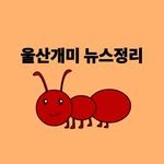 ulsan._.gaemi 프로필 사진