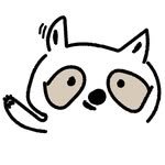 raccoon__coin 프로필 사진
