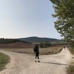 lsy_810815 프로필 사진