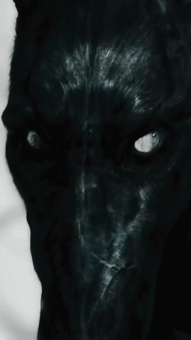 jordans.archivess 게시물 이미지: Happy 1 Year Anniversary to probably one of my...