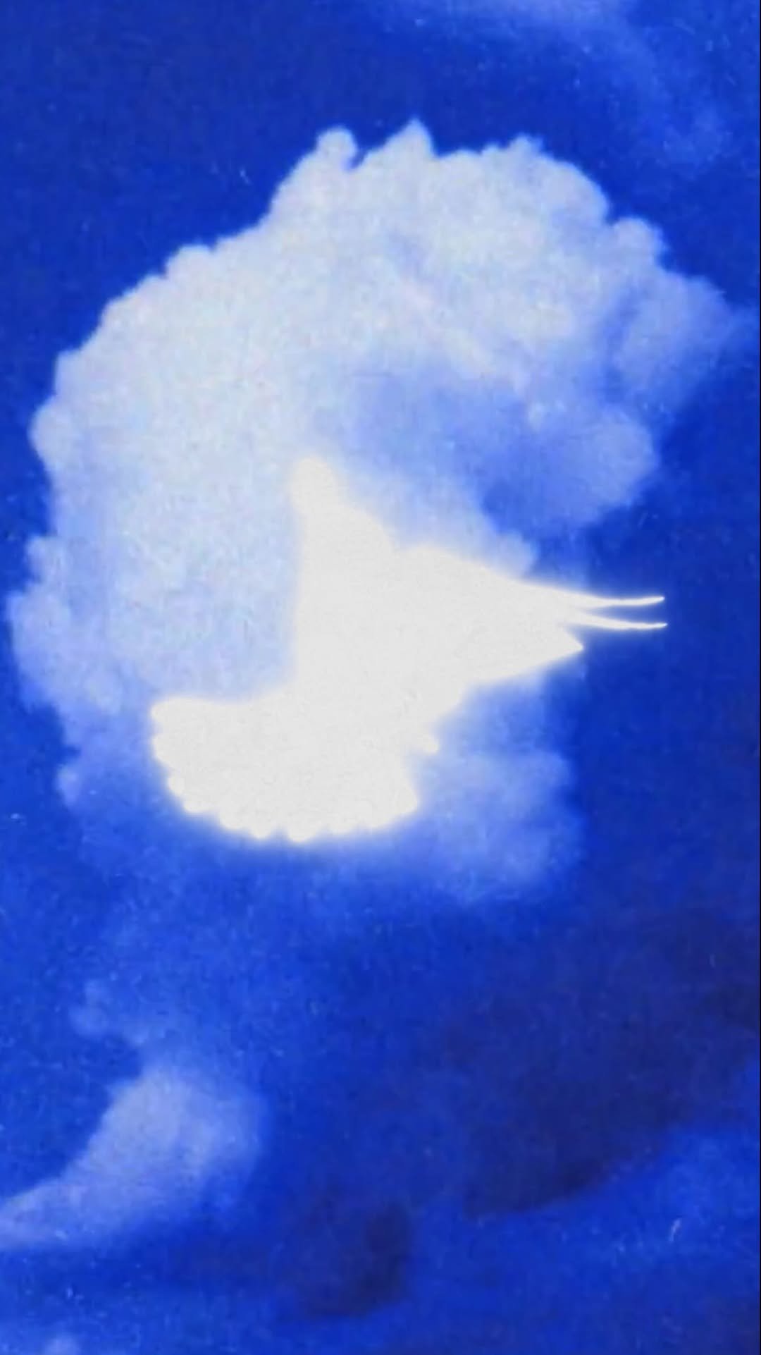 jordans.archivess 게시물 이미지: I have something exciting for you…

Comment...