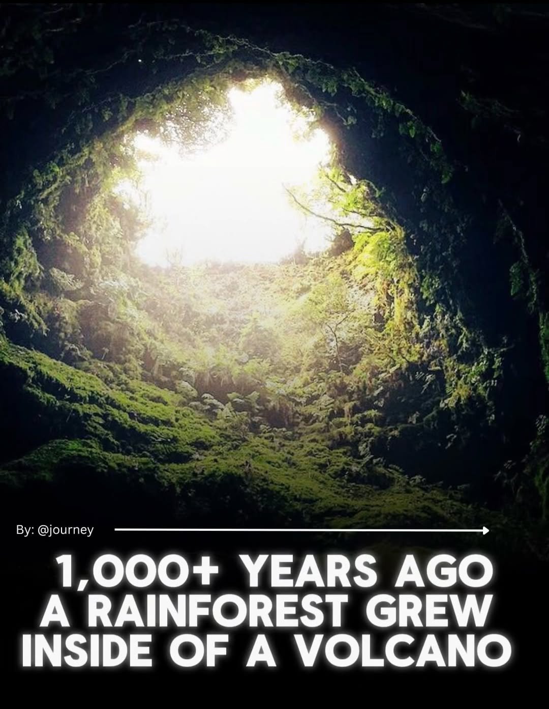 journey 게시물 이미지: A rainforest growing inside a volcano on a...