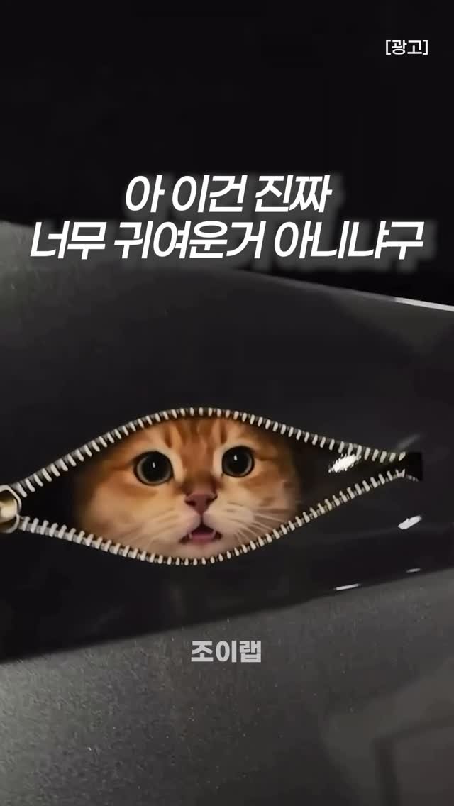 joy_lab__ 게시물 이미지: 🖐️ 댓글에 “냥” 남겨주시면 구매 정보 보내드릴게요

✅ 붙이기만 하면 튀어나온...
