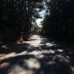 sukisukisang 프로필 사진