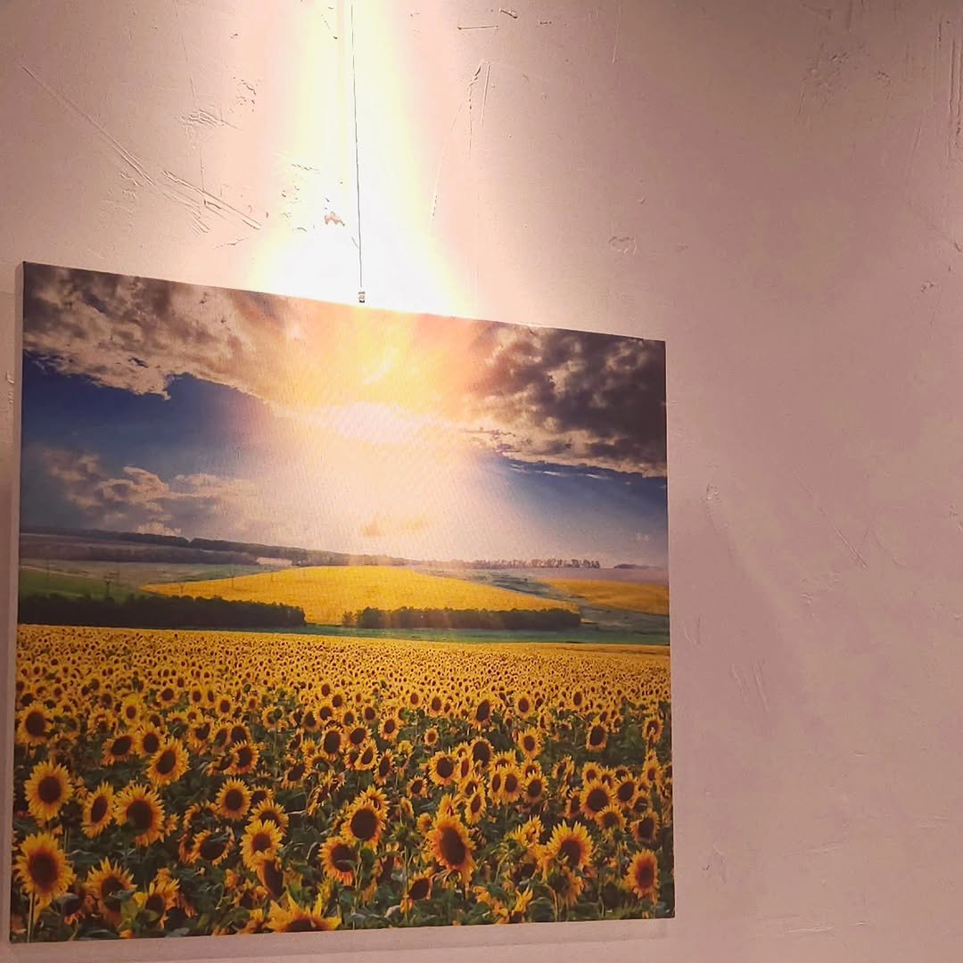 joyfulpt_gb 게시물 이미지: 복을 가져다 준다는 해바라기 그림!👍

덤벨과 함께 프리웨이트...