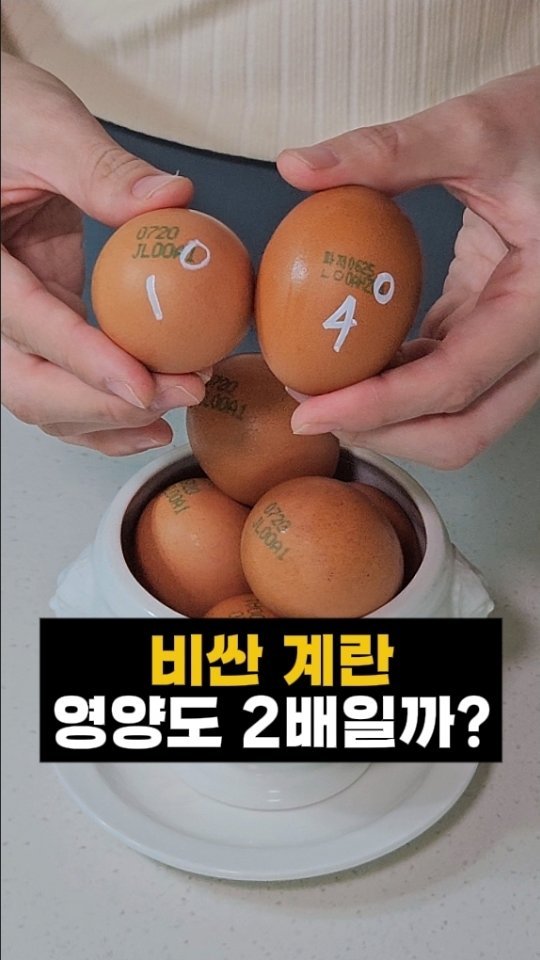 joyketo_official 게시물 이미지: 계란 껍데기에 적힌 숫자,
그게 사육환경 번호라는 거 알고 계시죠!

1번 ‘자유...