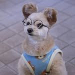 gold.__.rain_ 프로필 사진