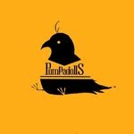 pompadolls_band 프로필 사진