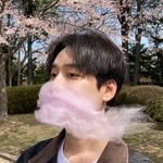 ynchann 프로필 사진