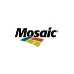 mosaiccoindia 프로필 사진