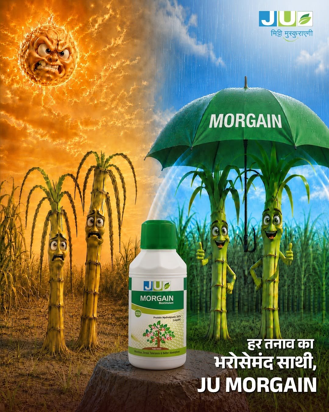 juagrisciences 게시물 이미지: 🌿 जब पौधे रहें तनाव से दूर, तभी बढ़वार हो...