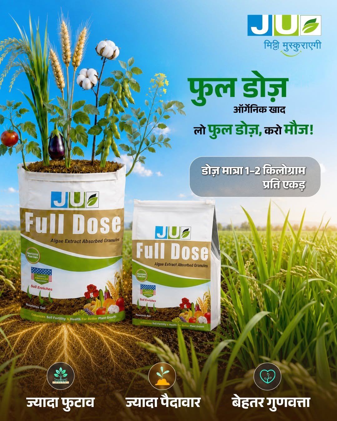 juagrisciences 게시물 이미지: बेहतर फुटाव ही है, भरपूर पैदावार की पहली पहचान...