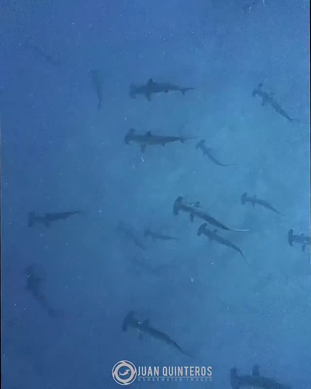 juan_uwimages 게시물 이미지: Are you ready for this ??...