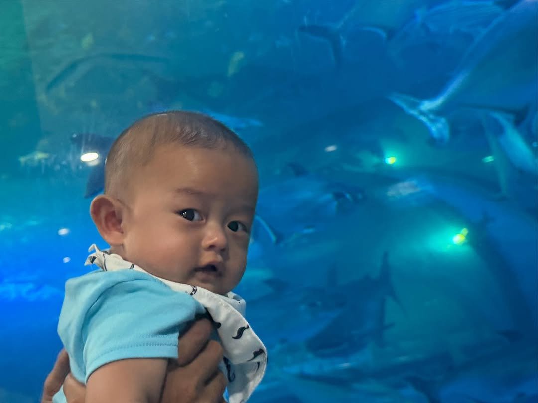 jubbbal 게시물 이미지: 🐟🐠🐡🐟🐠🐡