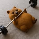 zero_qoke 프로필 사진