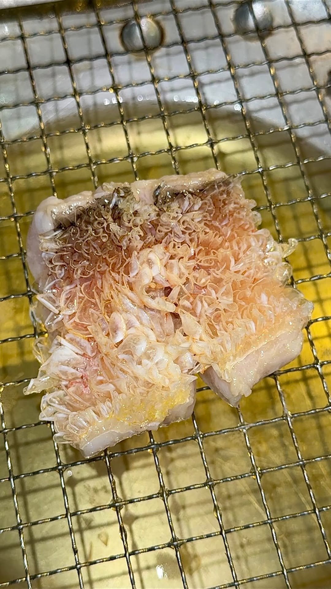 jukananan727 게시물 이미지: How fried fish is served in Japan🐟
⁡
COCOCHINO...