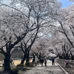 url102 프로필 사진