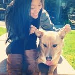 antonettepham 프로필 사진