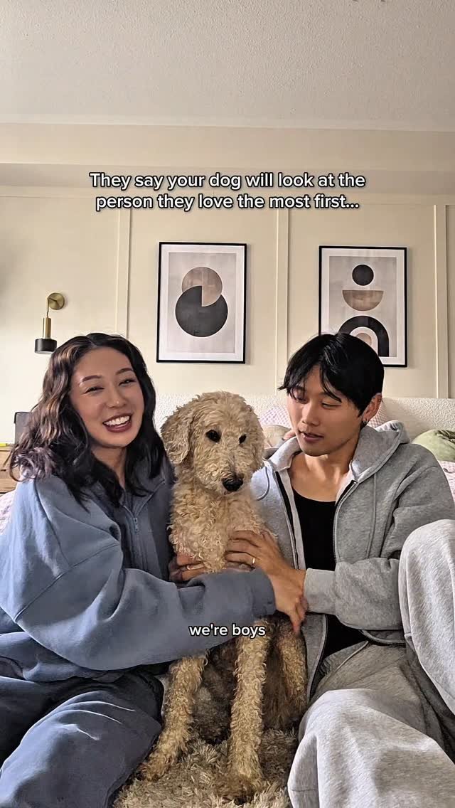 julesxandy 게시물 이미지: Kobi wanted to keep the peace at first 🤣 

The...