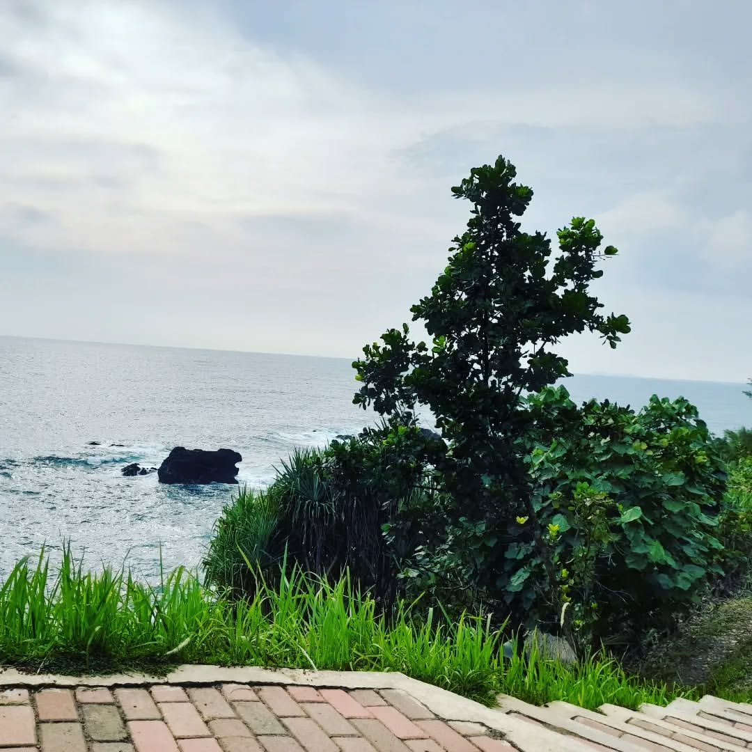 Photo by july on August 05, 2023.