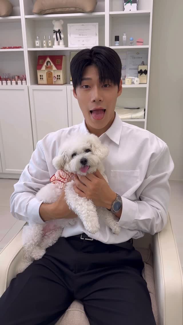 jun_seonng 게시물 이미지: 혹시 대형견은 안 필요하십니까?