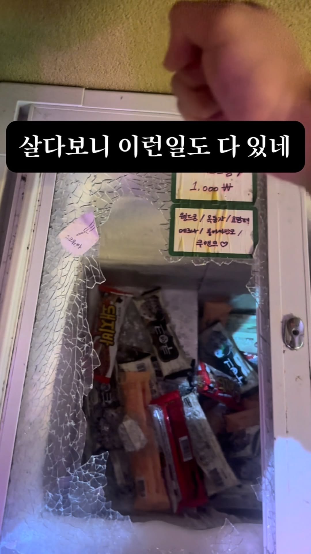 jung__hajun 게시물 이미지: 출근해 보니 준네맛집 보물 2호가 처참하게
부서져 있었습니다ㅠㅠ 이렇게 된 김에 더...