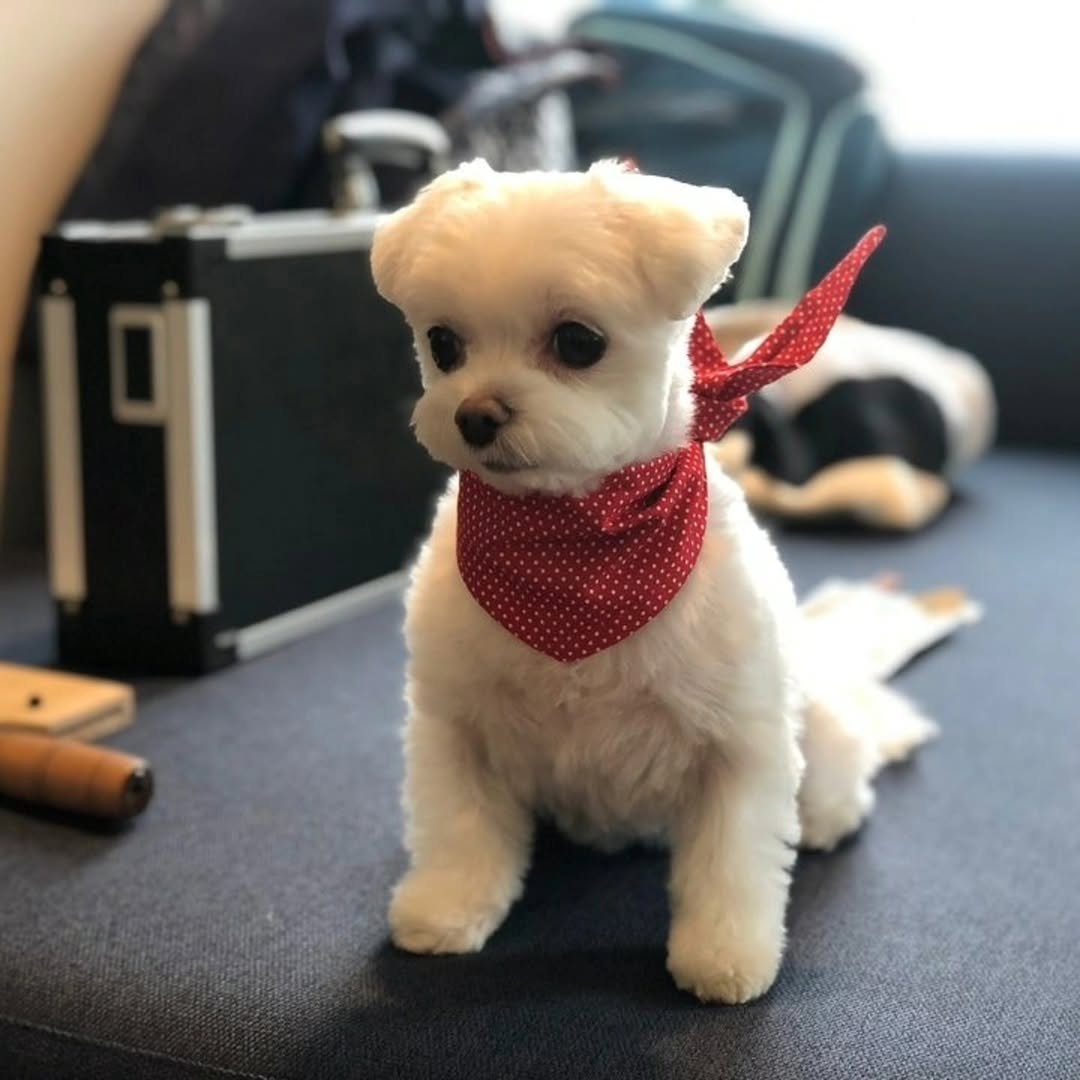 jung_hoyoung_caden_ 게시물 이미지: 12년전 우리부부는 커다란 선물을 받았습니다 
우리부부를 하염없이 웃게해주고...
