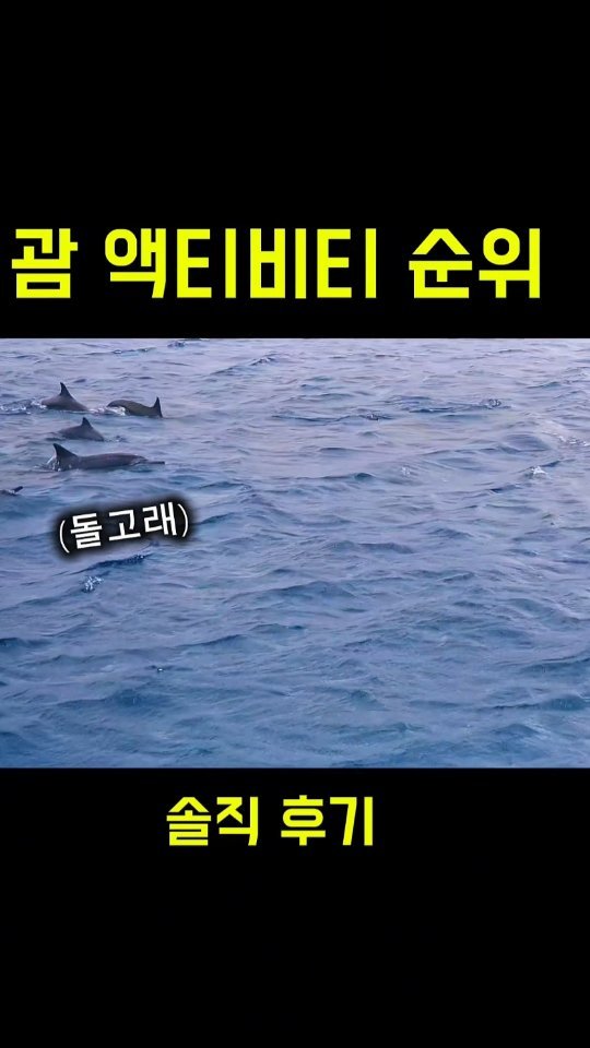 jungbae.trip 게시물 이미지: 괌 액티비티🏝  솔직 순위 매겨봄🏆

🥇 1위: 돌고래 투어 (진짜 가까이서...