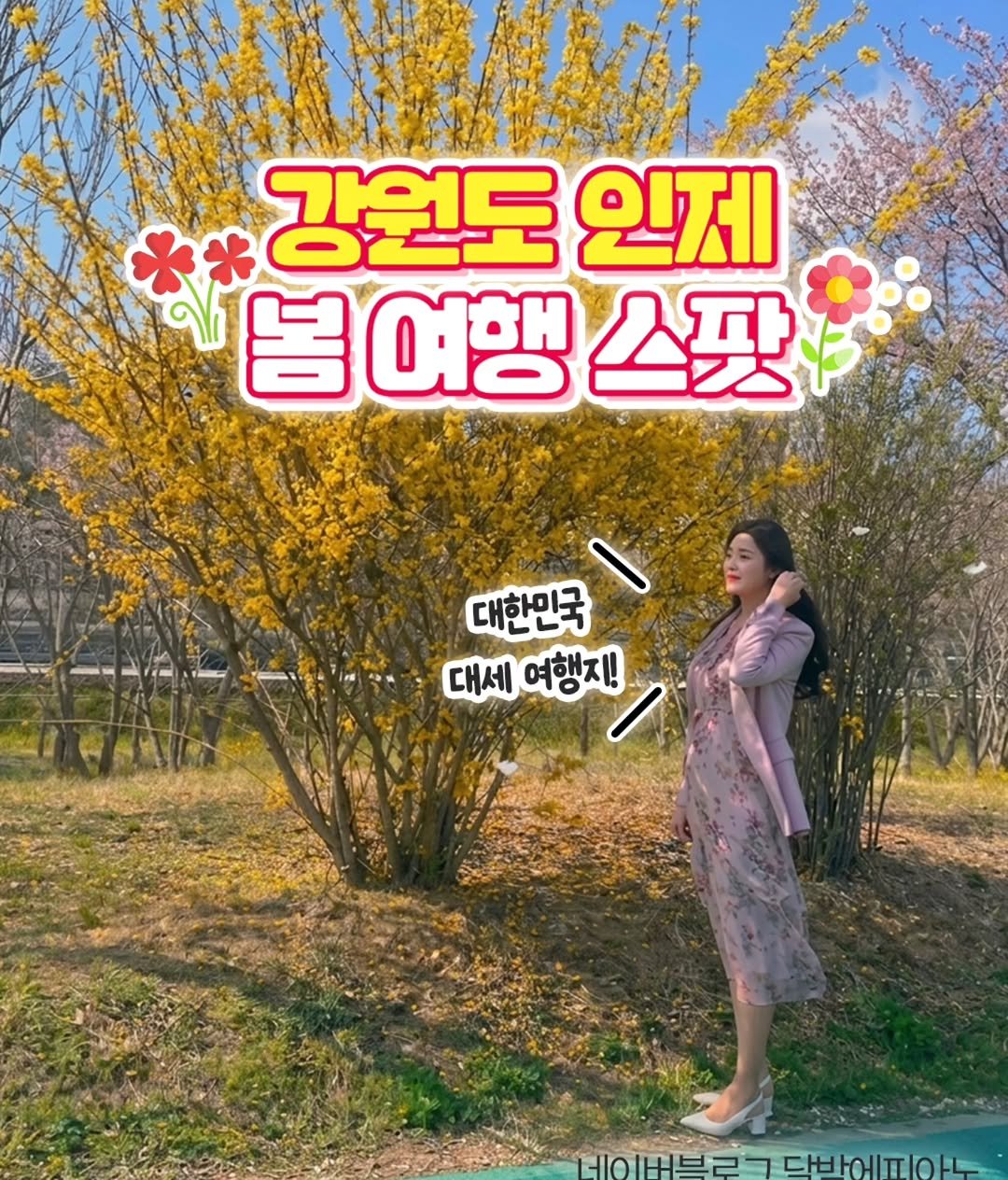 jungeun5869 게시물 이미지: #인제군x제작지원

🌸봄기운 제대로 느끼고 싶다면?🌸
✨강원도 인제 봄 나들이 코스...