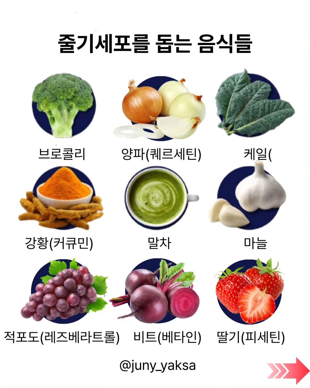 Photo by 쭈니약사/2대째 영양요법,한약을 다하는 약사 on January 09, 2026. May be an image of tofu, onion and text that says '줄기세포를 돕는 음식들 브로콜리 콜리양파(퀘르세탄 양파(퀘르세틴) 케일( 강황( 강황(커큐민) 말차 마늘 적포도 포도(레즈베라트롤) 비트 비트(베타인) 딸기( 딸기(피세틴) @juny_yaksa'.