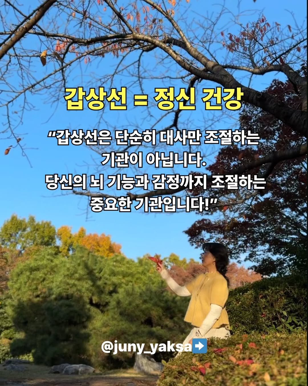 Photo by 쭈니약사/2대째 영양요법,한약을 다하는 약사 on November 26, 2025. May be an image of pie and text that says 'မ်နာျုရွေပ် 갑상선 = 정신 건강 "감상선은 단순히 대사만 조절하는 기관이 아닙니다. 당신의 뇌 기능과 감정까지 조절하는 중요한 기관입니다!" 냉심소 @juny_yaksa @juny_ yaksa'.