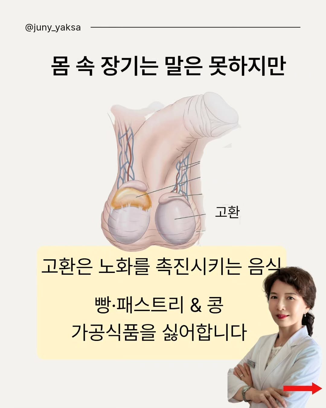 Photo by 쭈니약사/2대째 영양요법,한약을 다하는 약사 on January 08, 2026. May be an image of pie and text that says '@juny_yaksa 몸 속 장기는 말은 못하지만 고환 고환은 노화를 촉진시키는 음식 빵· ·패스트리 & &콩 콩 가공식품을 싫어합니다'.