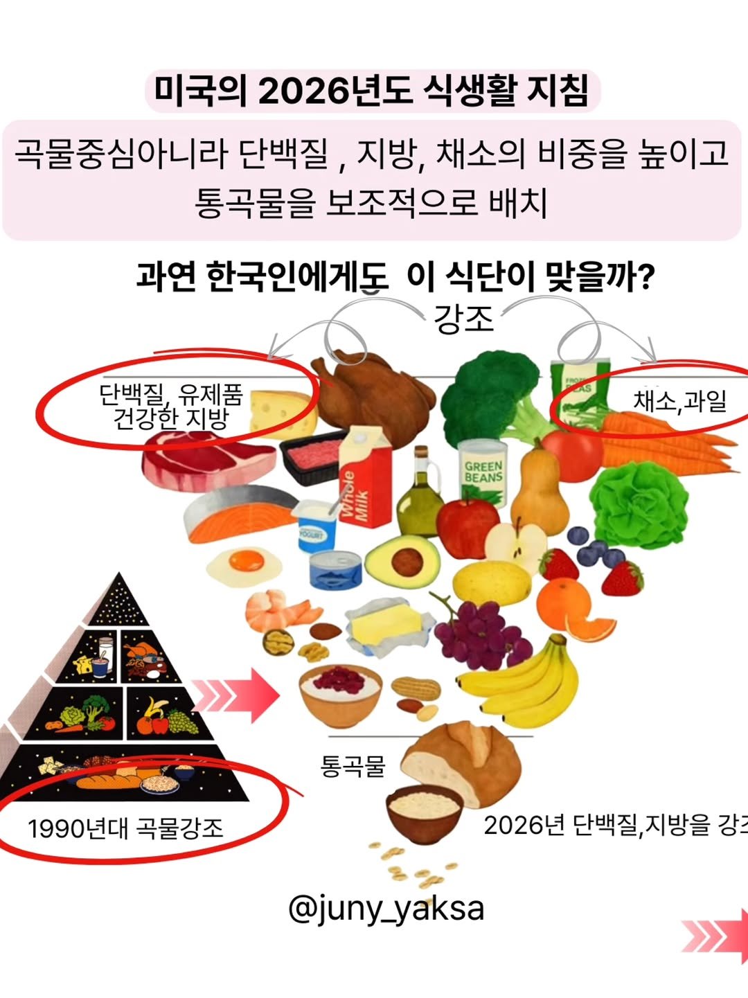 Photo by 쭈니약사/2대째 영양요법,한약을 다하는 약사 on January 11, 2026. May be an image of pie, vegetable and text that says '미국의 2026년도 식생활 지침 곡물중심아니라 단백질, 지방, 채소의 비중을 높이고 통곡물을 보조적으로 배치 과연 한국인에게도 이 식단이 맞을까? 강조 단백질, 유제품 건강한 지방 채소,과일 과일 채소, GREEN BEANS Whole Milk MIN 통곡물 1990년대 곡물강조 2026년 단백질,지방을 단백질, 지방을 강초 @juny_yaksa'.