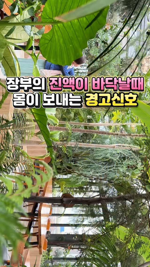 juny_yaksa 게시물 이미지: 🌿 “장부에 채워져야 할 진액이 고갈되었을 때 몸이 보내는 경고 신호, 알고...
