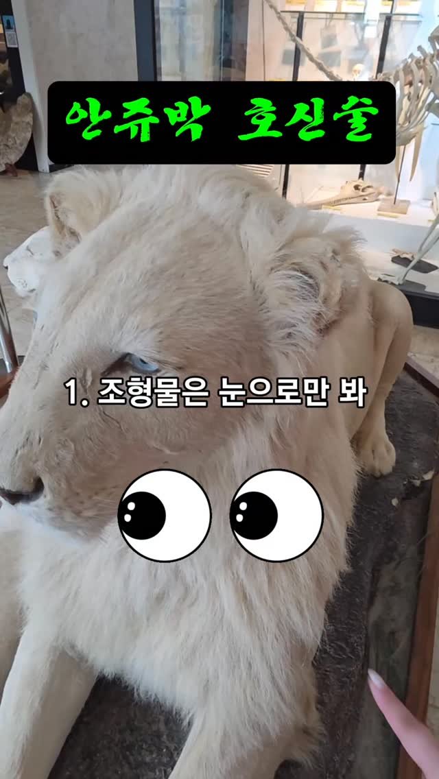 jurassic_museum_official 게시물 이미지: ❗️안쥬박 호신술❗️

#공룡 #박물관 #태안가볼만한곳