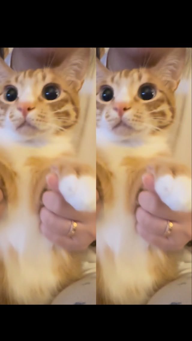 just_yi_yo 게시물 이미지: 싸와디깝 맛있게따(황금푸딩 공구 중입니다)짜짜짜짝짝 
프로필에 링크 있습니다...