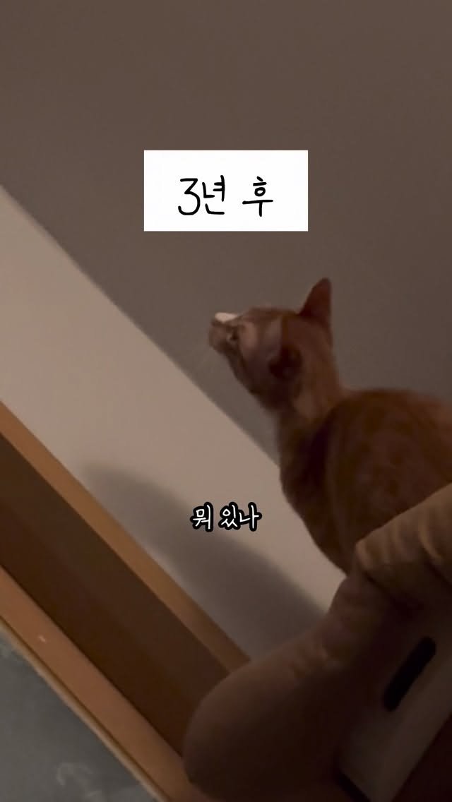 just_yi_yo 게시물 이미지: 벌써 3년전이가 김여비 내눈엔 아직 애기다 니는 평생...