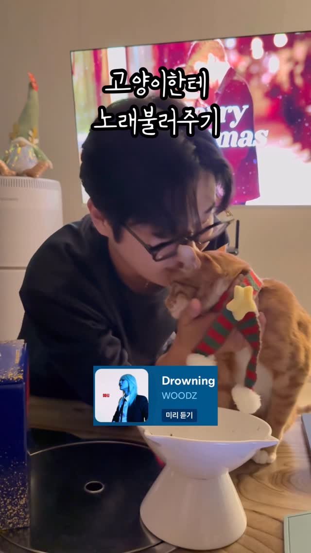 just_yi_yo 게시물 이미지: 크리스마스 선물이다 여비 
.
.
.
.
.
.
.
#고양이 #cat...