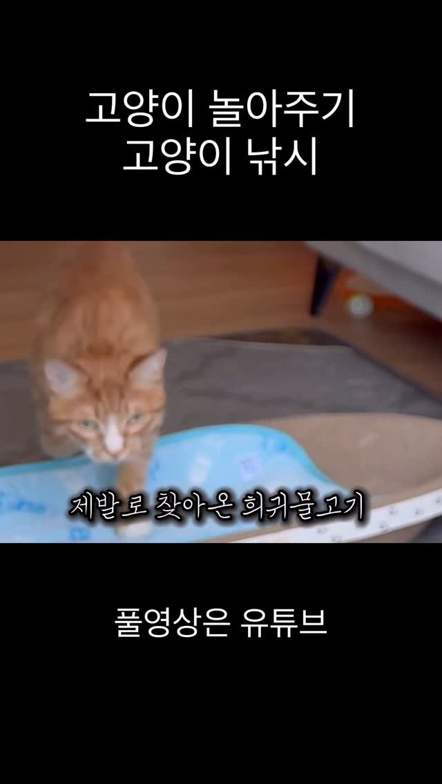 just_yi_yo 게시물 이미지: 김여비 낚시하기♥️ 결혼 6일 남아따 이제 여비얼굴 영상 투척 많이...