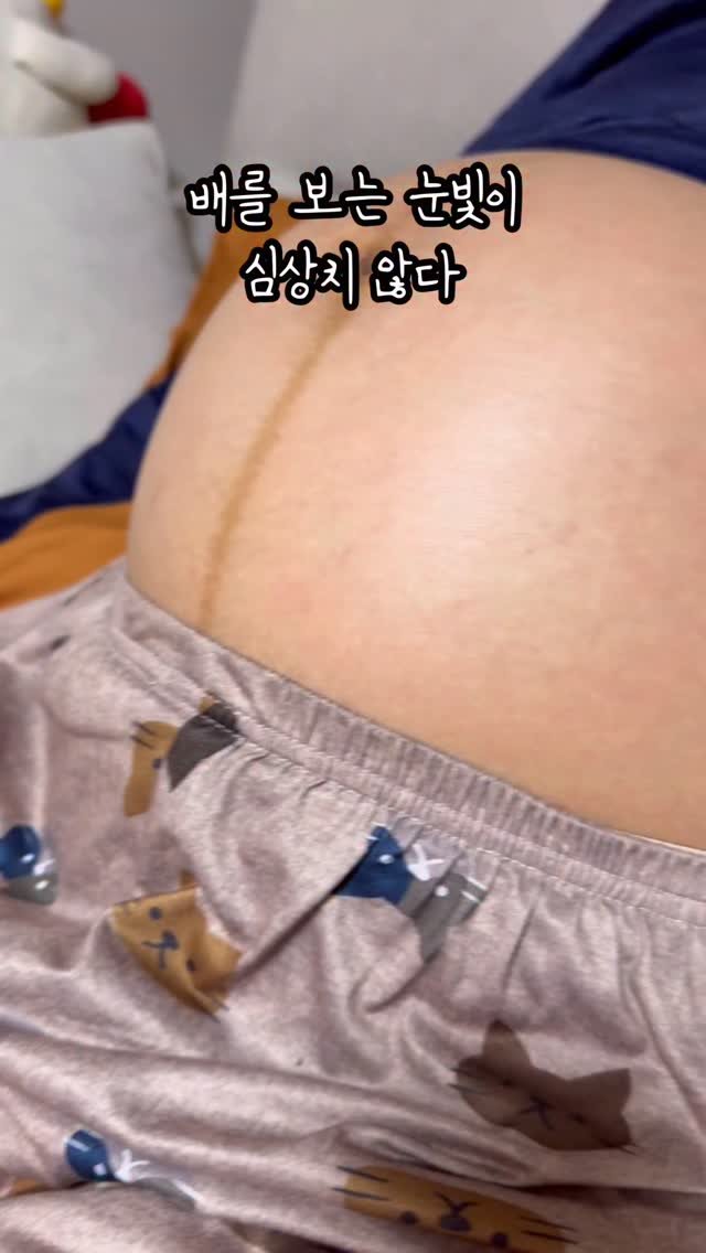 just_yi_yo 게시물 이미지: 설렜다 여비야 (오늘 보는줄🥹)
.
.
.
.
.
.
.
.
#고양이 #cat #냥이 #릴스 #임신