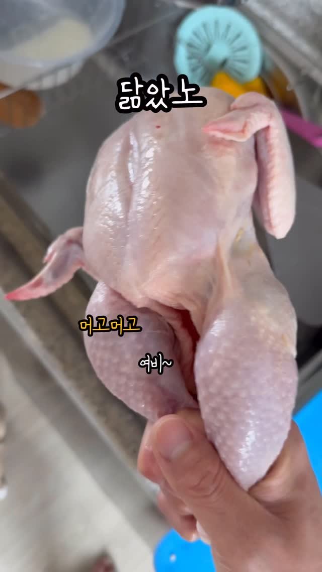 just_yi_yo 게시물 이미지: 복 마이받아라 여비 
.
.
.
.
.
.
.
#고양이 #cat #catlover...