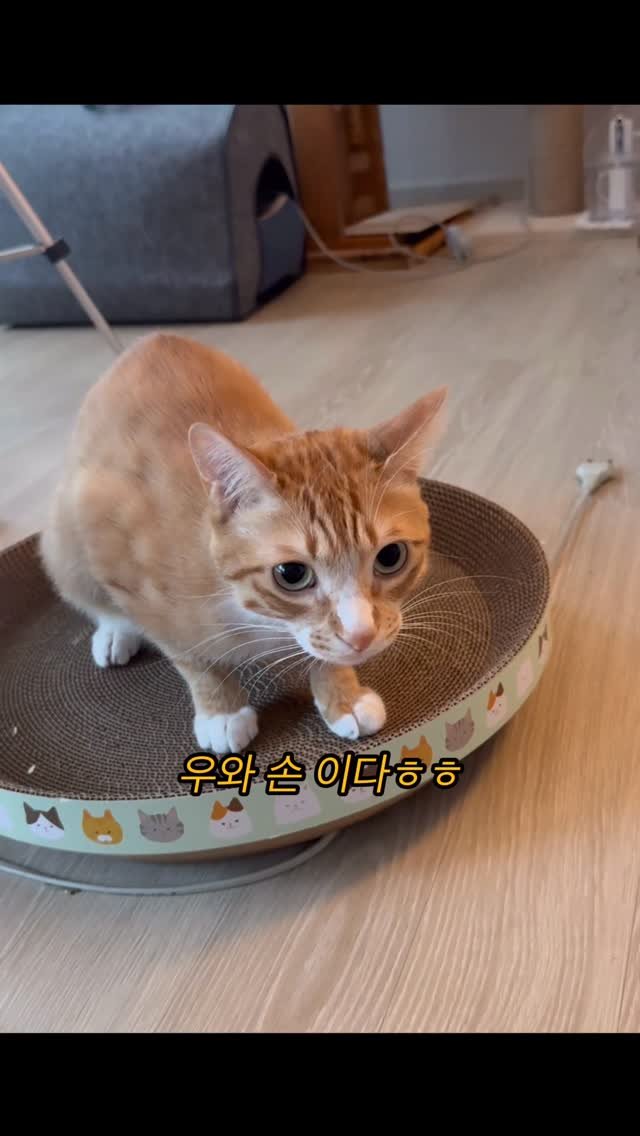 just_yi_yo 게시물 이미지: 애기 잘때만 활발해서 더빙밖에...