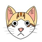 just_yi_yo 인스타그램 프로필 사진