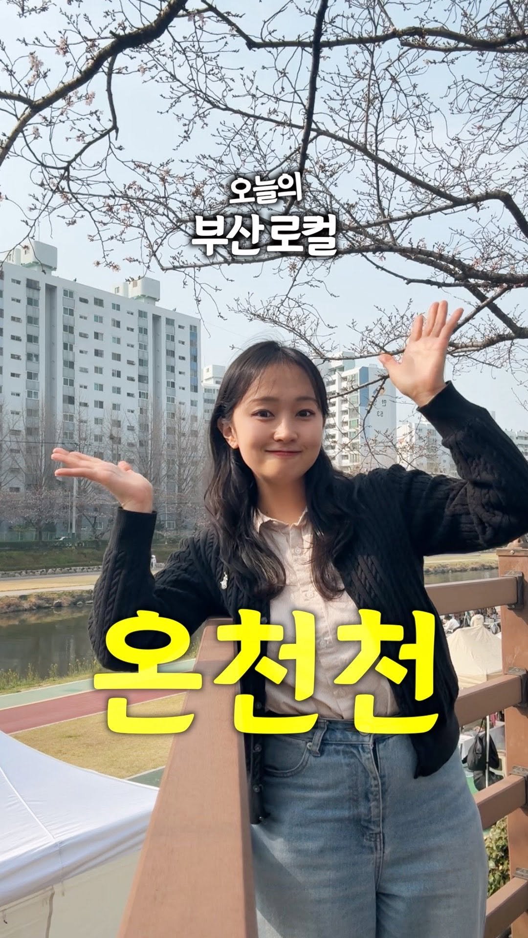 juuuyomi_ 게시물 이미지: 부산 벚꽃 만개하면 여기 어때...💗🌸
오늘의 부산 로컬 여행지는 #온천천 ,...