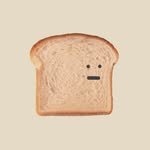 standardbread_official 프로필 사진
