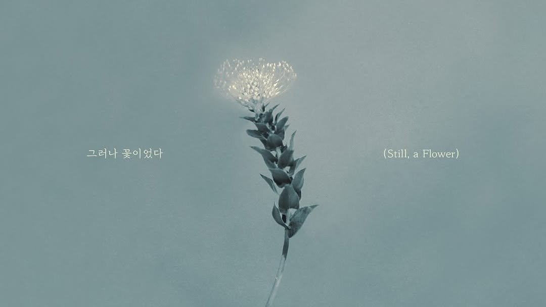 Photo by 정용화 on January 01, 2026. May be an image of sparkler, kite, dandelion and text that says '그러나 꽃이 그러나 꽃이었다 꽃이었다 었다 (Still,aFlower) (Still, (Still, a Flower) Flower) Flowe'.