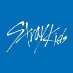 skzjypstay 프로필 사진