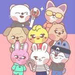 skzibble 프로필 사진