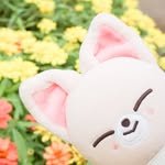 momo_stay_ 프로필 사진